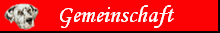 Forum, Termine, Chat